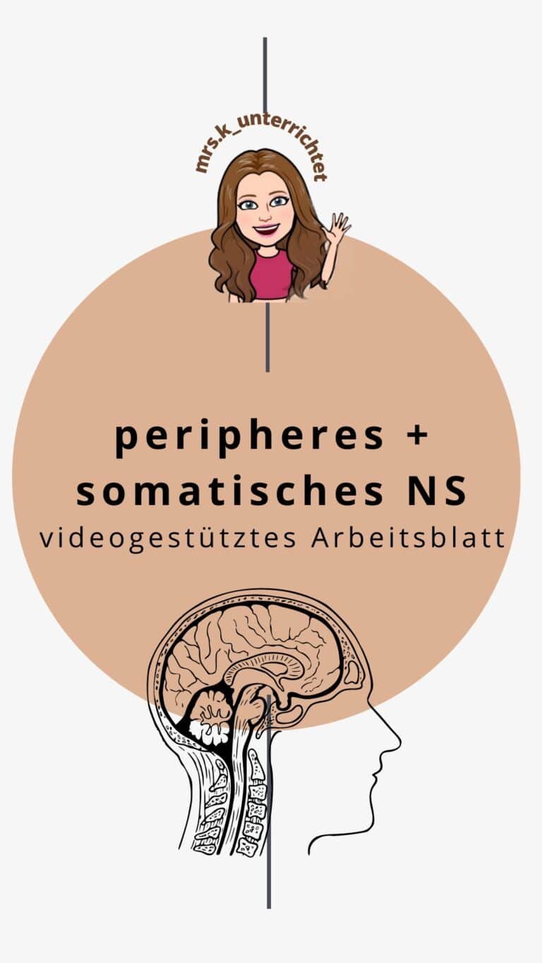 videogestütztes AB peripheres/somatisches Nervensystem