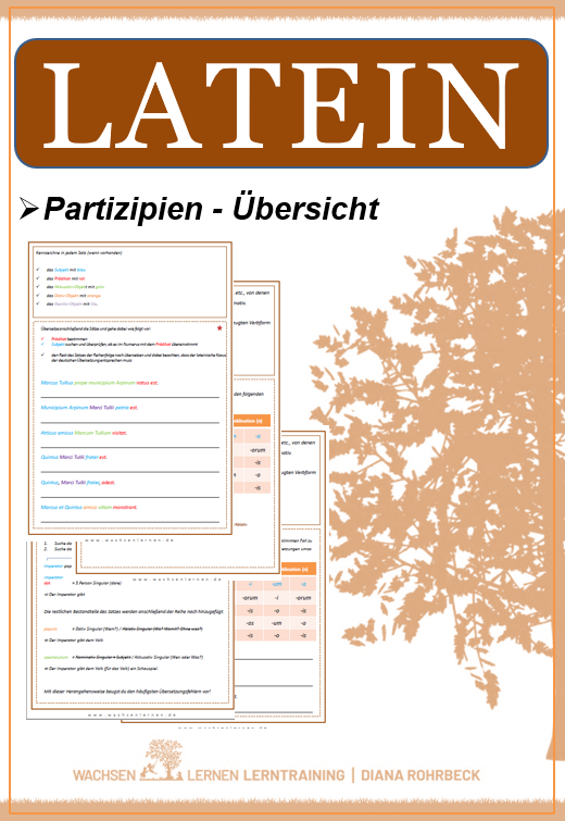 Latein: Partizipien – Übersicht