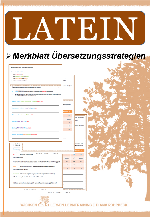 Latein: Merkblatt Übersetzungsstrategien