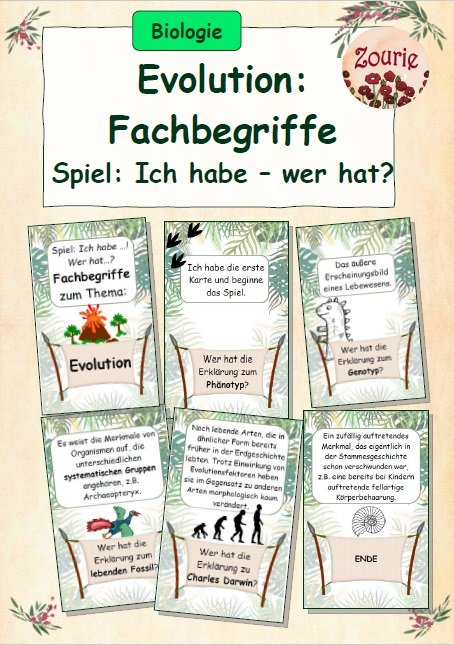 Spiel: Fachbegriffe in Evolution festigen