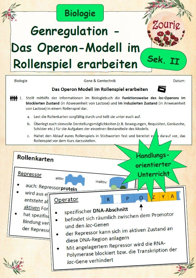 Rollenspiel: Das Operon Modell (Lac-Operon) – SII/Q-Phase