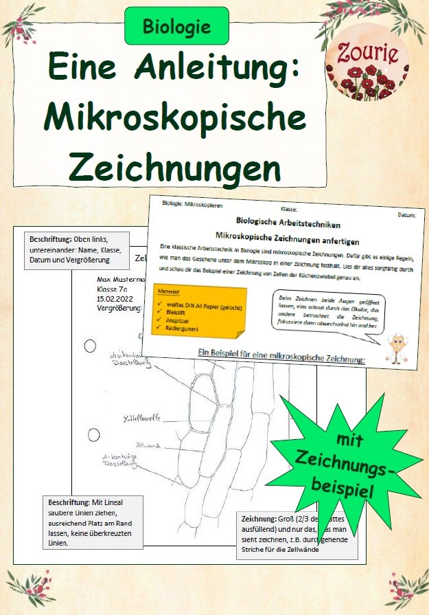 Mikroskopische Zeichnungen anfertigen – ein Leitfaden