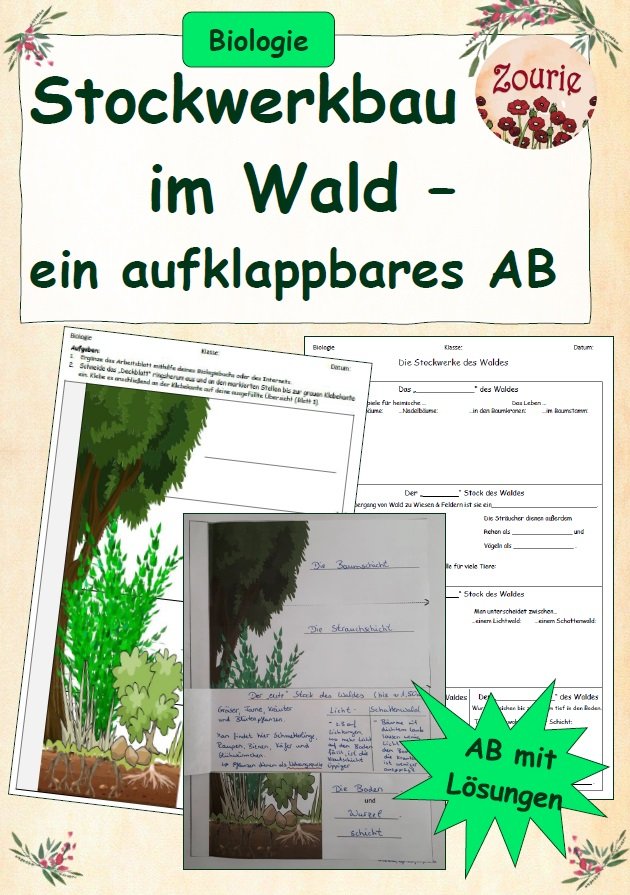 AB Stockwerkbau des Waldes differenziert & aufklappbar