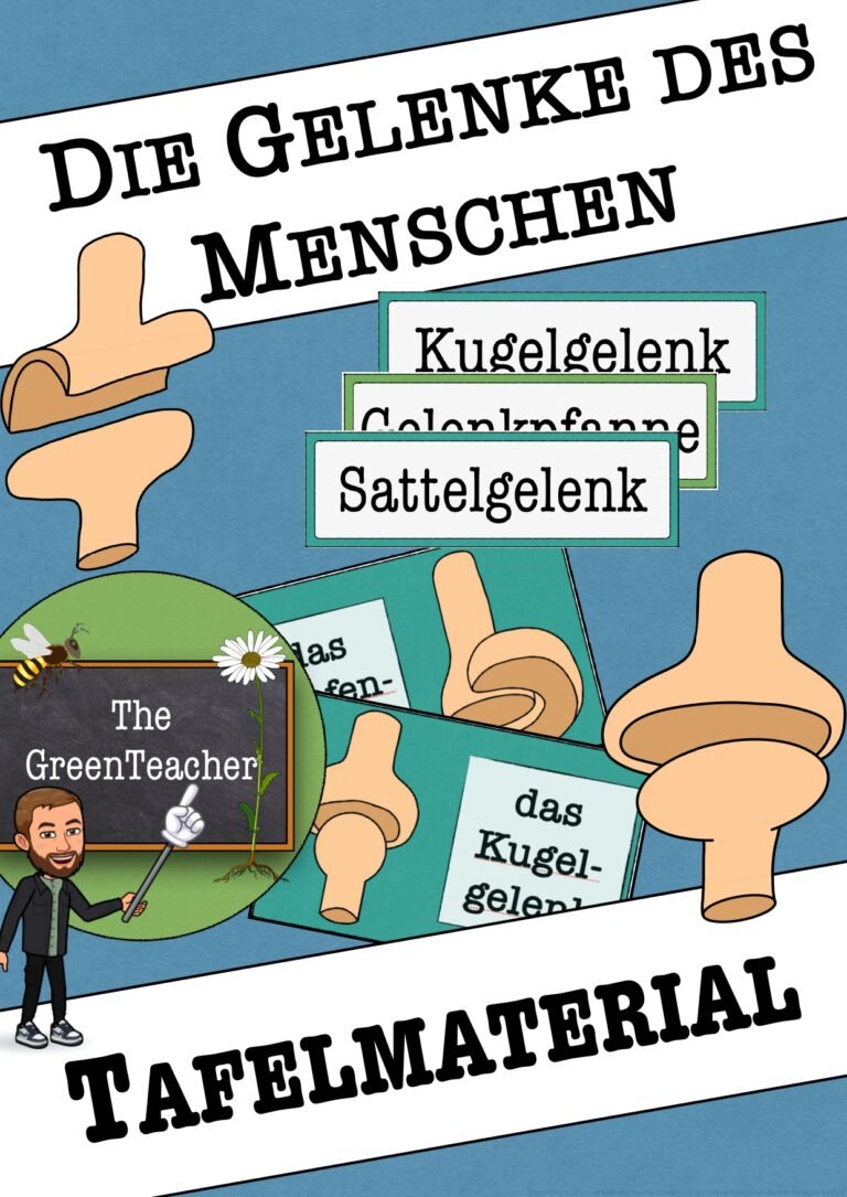 Tafelmaterial Gelenke – Abbildungen und Wortkarten