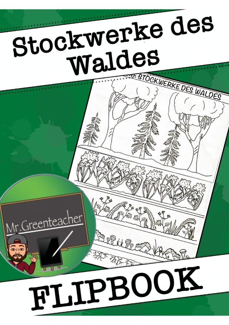 Flipbook – Stockwerke des Waldes
