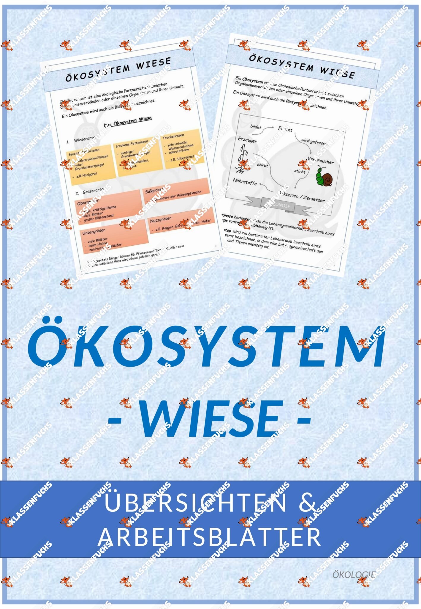 Klassenfuchs Image