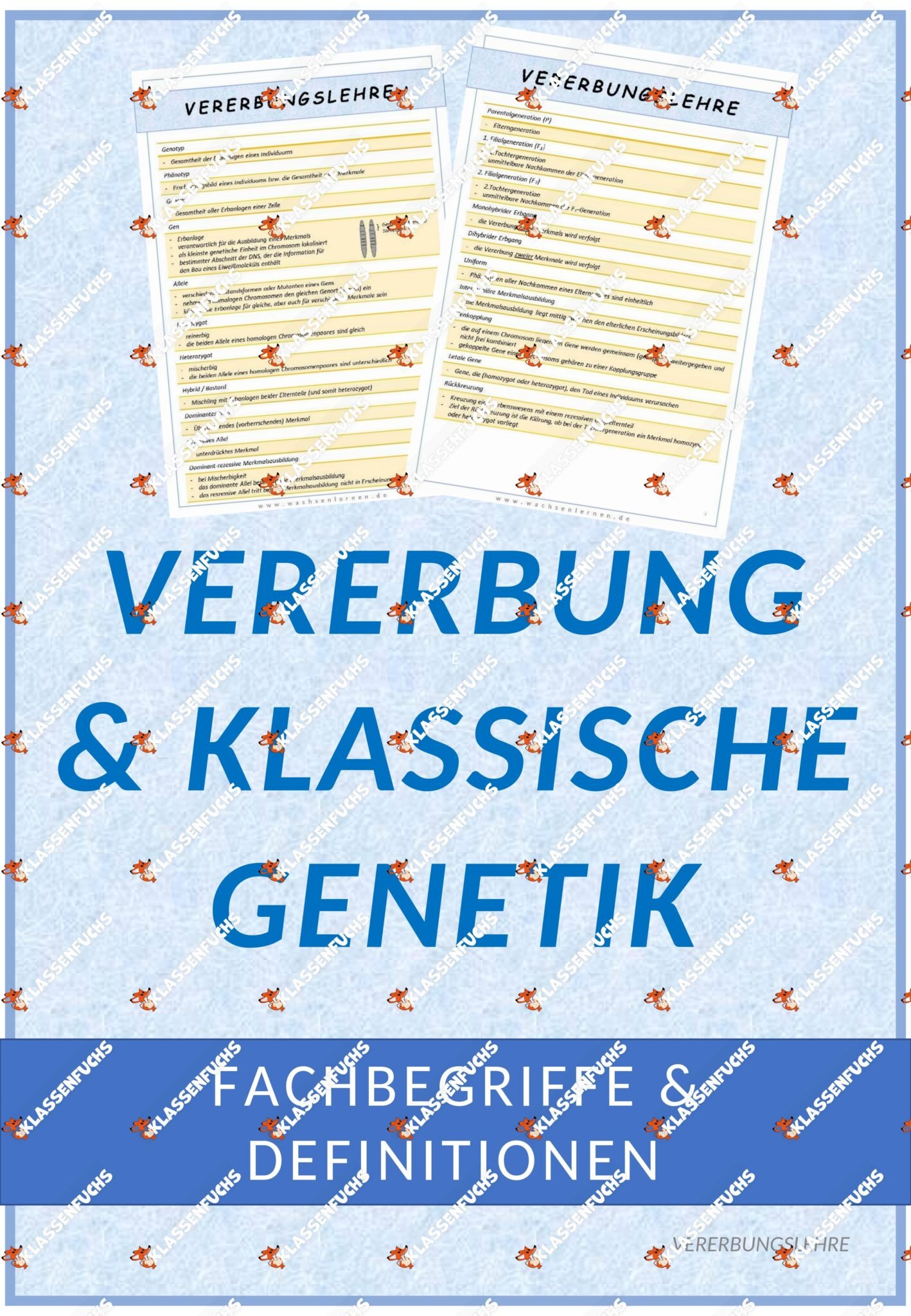 Klassenfuchs Image