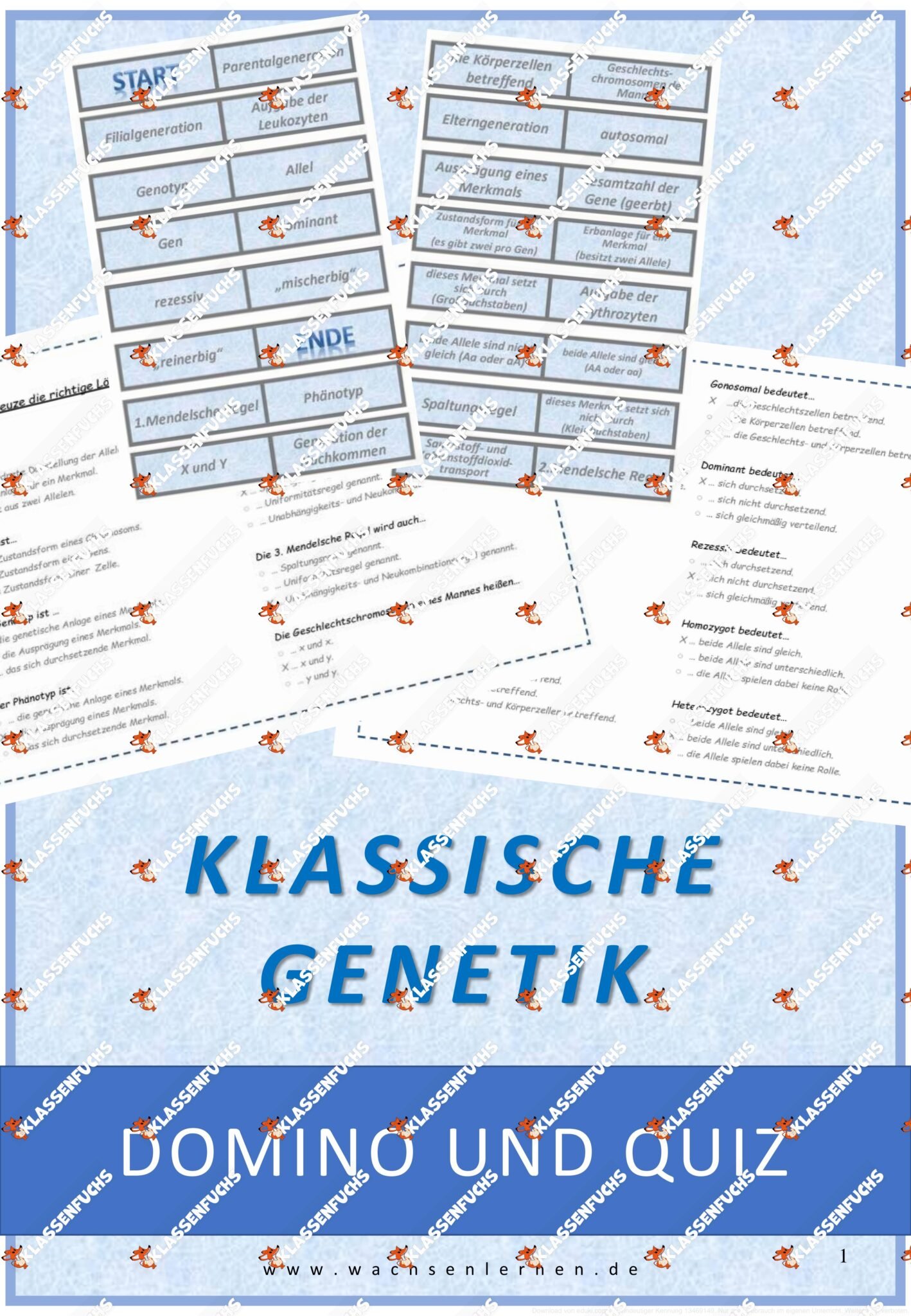 Klassenfuchs Image