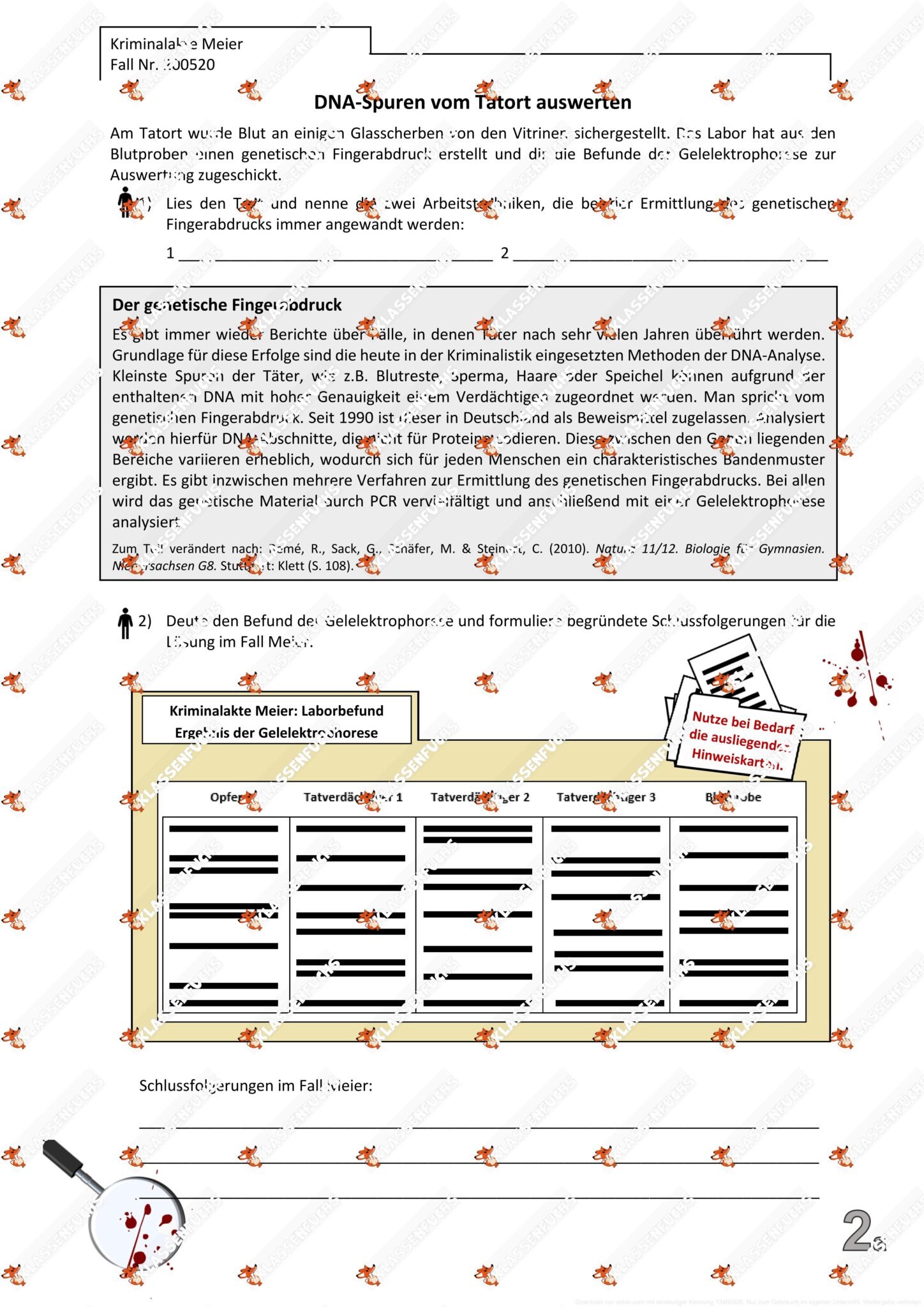 Klassenfuchs Image