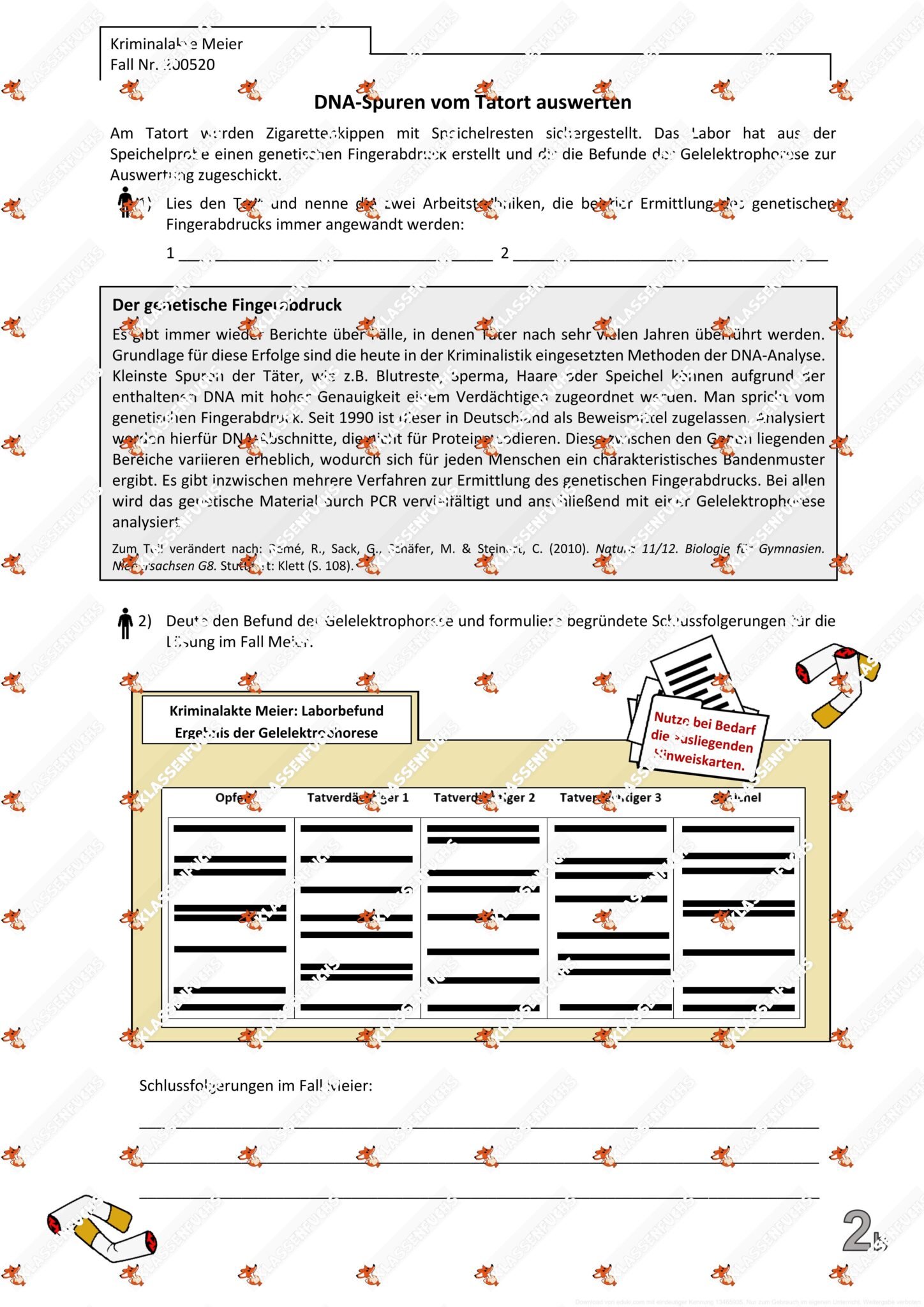 Klassenfuchs Image