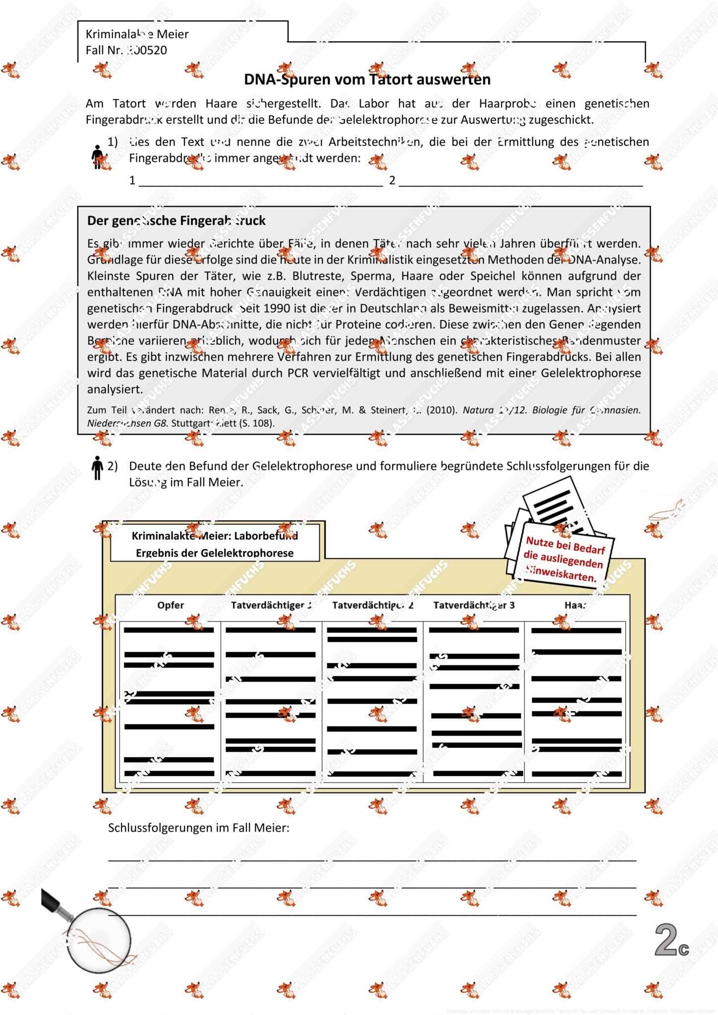 Klassenfuchs Image