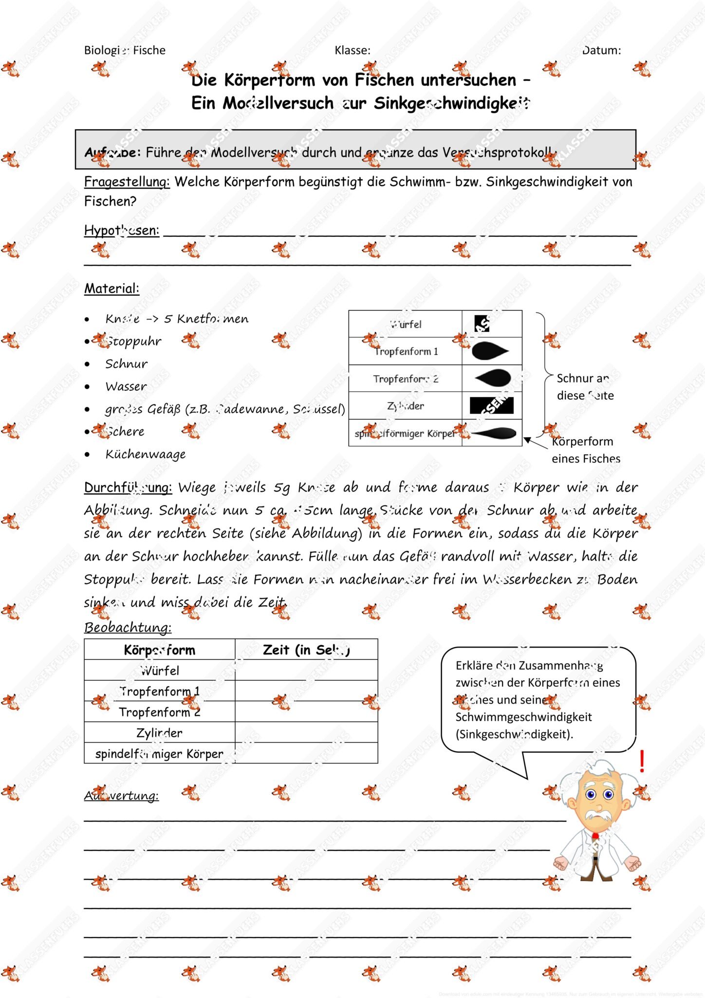 Klassenfuchs Image