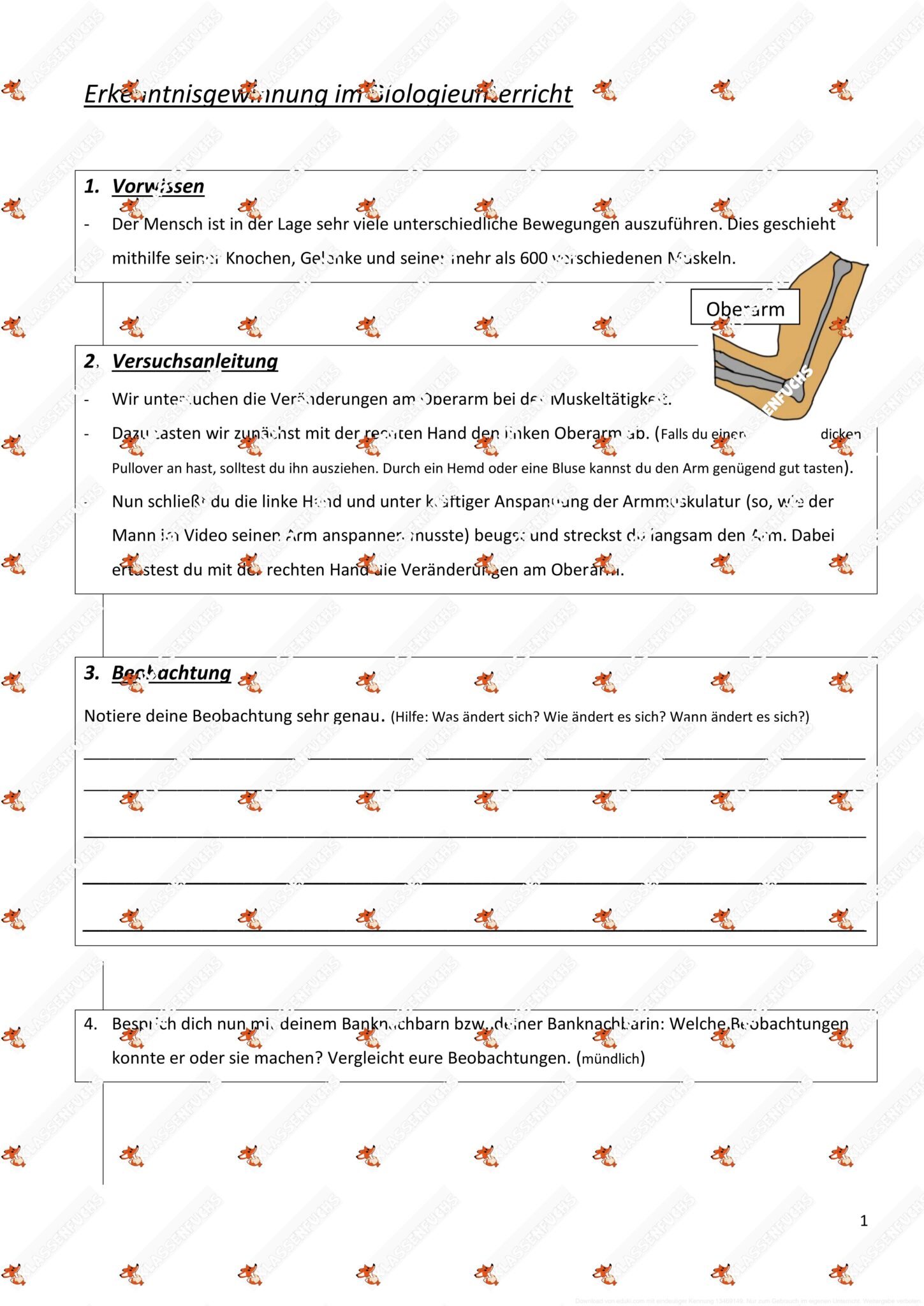 Klassenfuchs Image