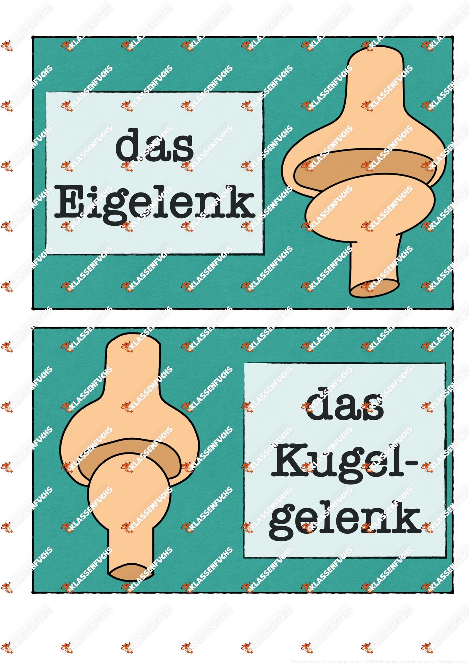 Klassenfuchs Image