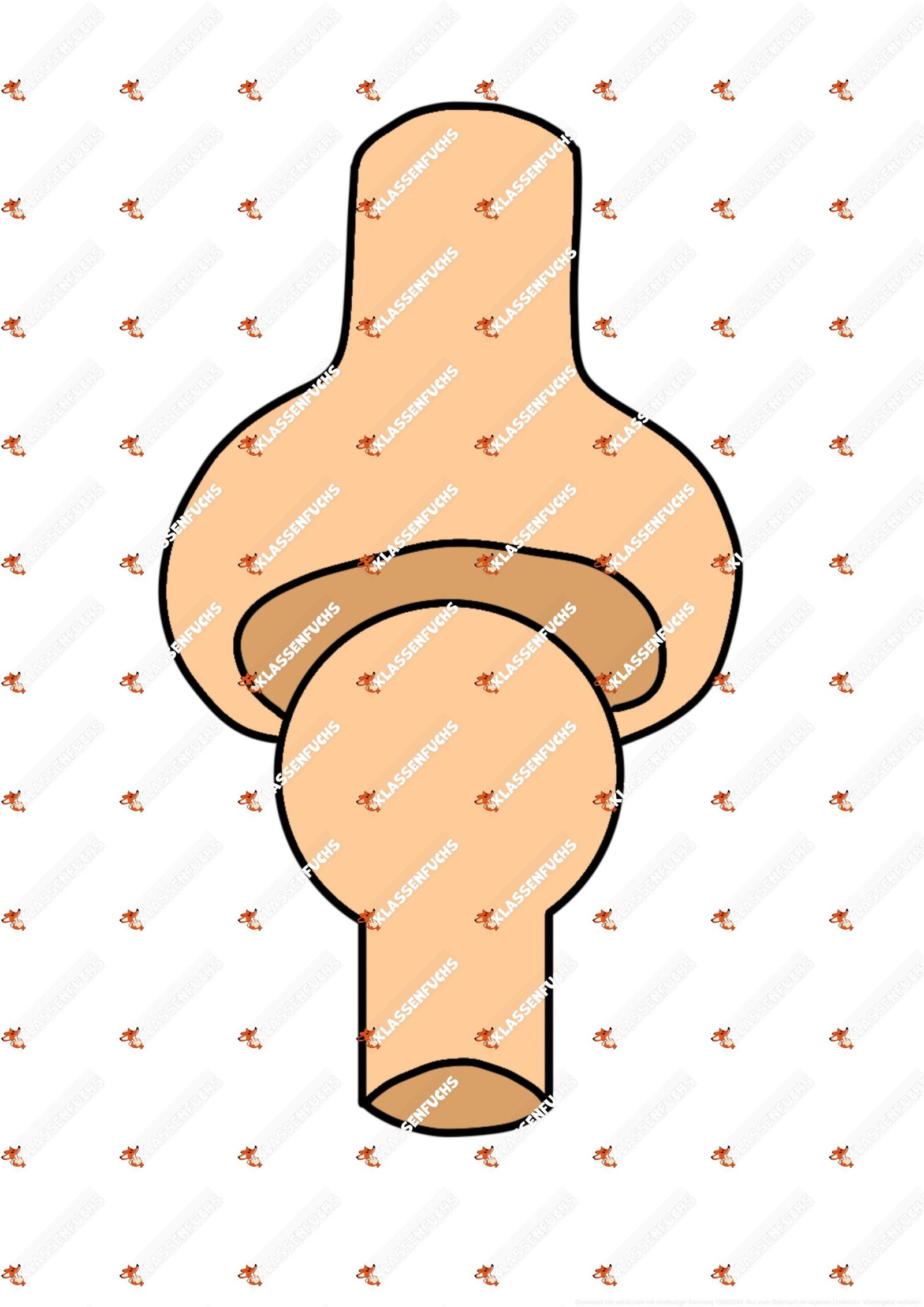 Klassenfuchs Image