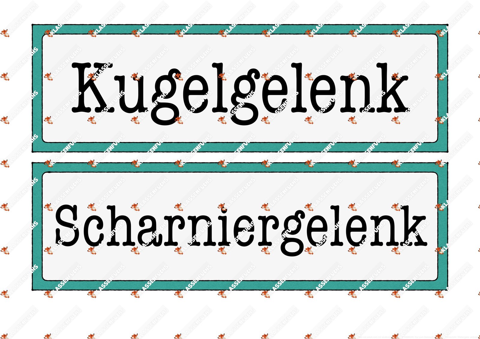 Klassenfuchs Image